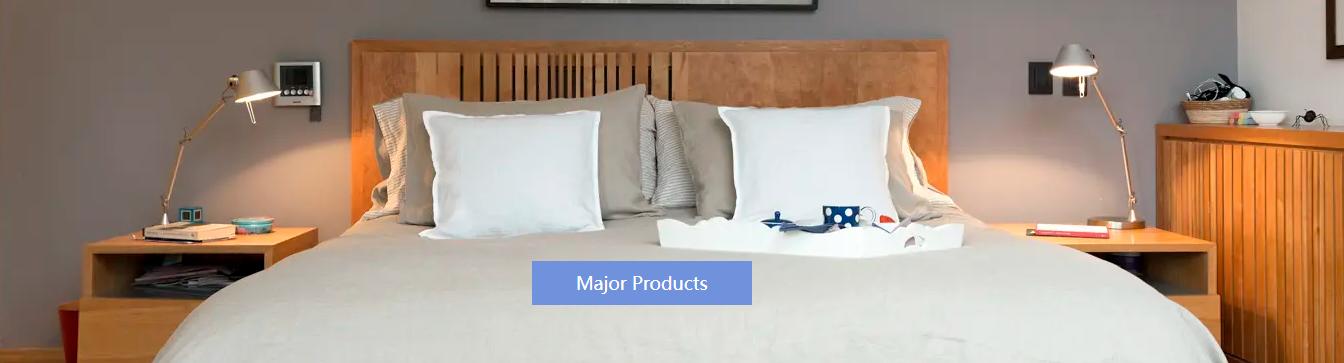 Home_main_products